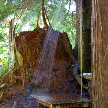 Decatur Island Cabin