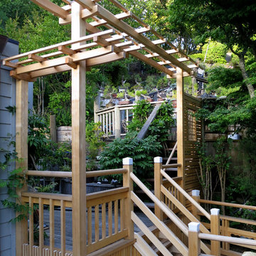 Deck and Wisteria Pergola