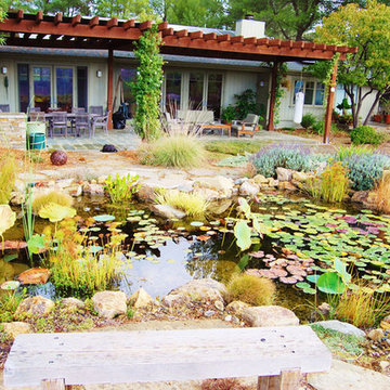 Drought Tolerant Landscaping with a Fish Pond