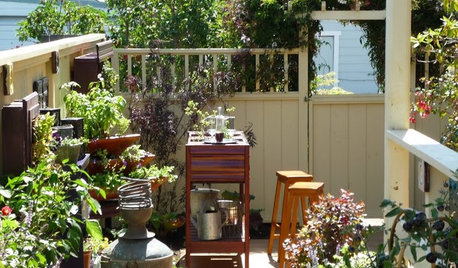 15 Ideas to Try in Your Garden This Year