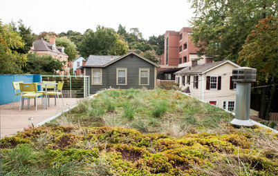 4 Ways Green Roofs Help Manage Stormwater