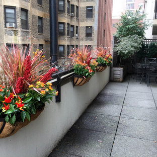 Large elegant rooftop deck container garden photo in Chicago with no cover