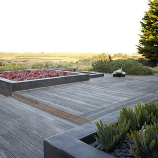 Huge backyard deck container garden photo in San Luis Obispo with no cover