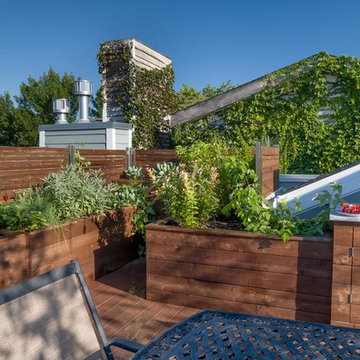 Fruitful Roof Deck