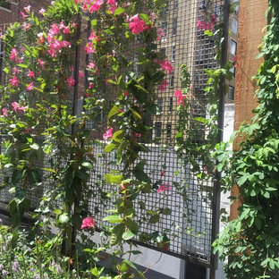 Ispirazione per una terrazza moderna di medie dimensioni e sul tetto con nessuna copertura