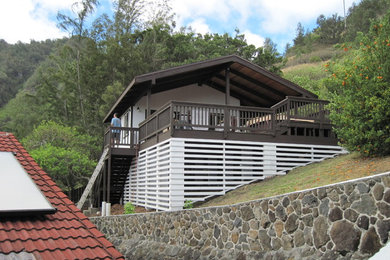 Diseño de terraza tropical grande en patio trasero y anexo de casas con cocina exterior