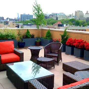 Harlem, NYC Rooftop Garden Design: Roof Deck, Terrace, Outdoor Seating, Containe