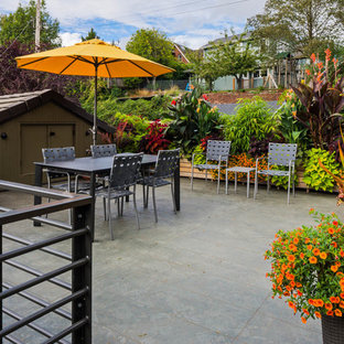 Esempio di una terrazza contemporanea sul tetto, di medie dimensioni e sul tetto con un giardino in vaso e nessuna copertura