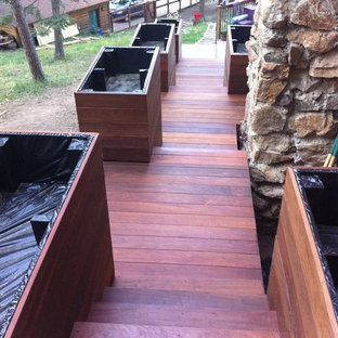 Ispirazione per una grande terrazza american style dietro casa con un giardino in vaso e nessuna copertura