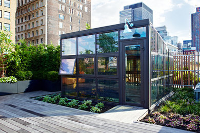 Ispirazione per una grande terrazza contemporanea sul tetto con un giardino in vaso e nessuna copertura