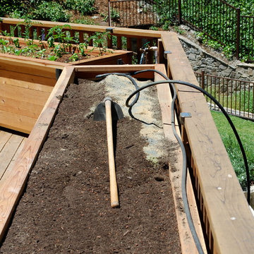 JD Garden, Hillsborough