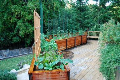 Modelo de terraza clásica con jardín de macetas