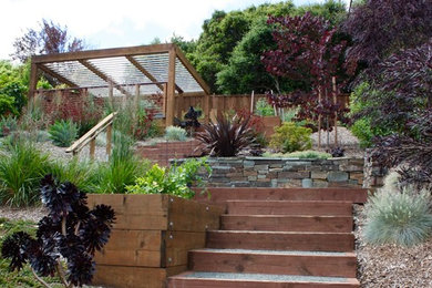 Deck - large contemporary backyard deck idea in San Francisco with a pergola
