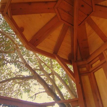 Kate's Tree Yurt