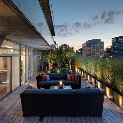 Example of a trendy backyard deck container garden design in Toronto with a roof extension