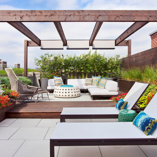 Esempio di una terrazza contemporanea di medie dimensioni, sul tetto e sul tetto con un giardino in vaso e una pergola