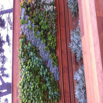 Living Vertical Green Wall