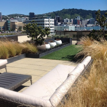 Low maintenance native planting