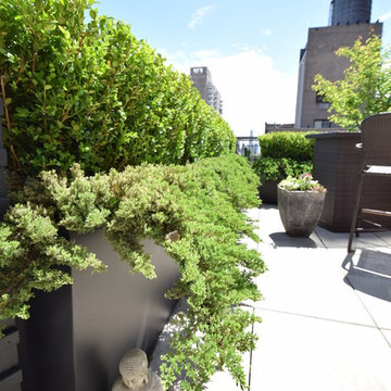 Manhattan Penthouse Garden