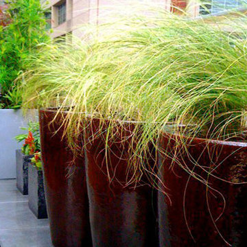Manhattan Roof Garden: Terrace Deck, Bluestone Pavers, Container Garden, Grasses