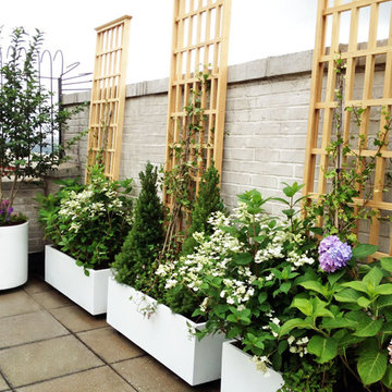 Manhattan Roof Garden: White Planters, Terrace Deck, Paver Patio, Container Plan