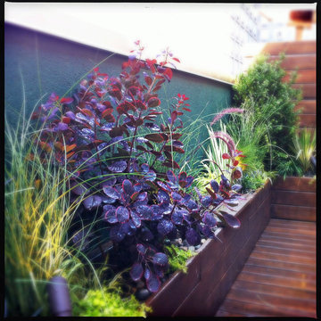 Manhattan Terrace Deck: Roof Garden, Planter Boxes, Low-Maintenance, Container P