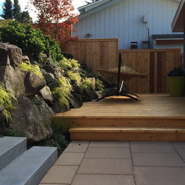 Mid-century modern backyard remodel