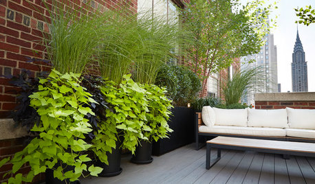 10 All-Foliage Container Ideas for Your Summer Garden