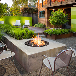 Esempio di una piccola terrazza minimal dietro casa con un giardino in vaso e nessuna copertura