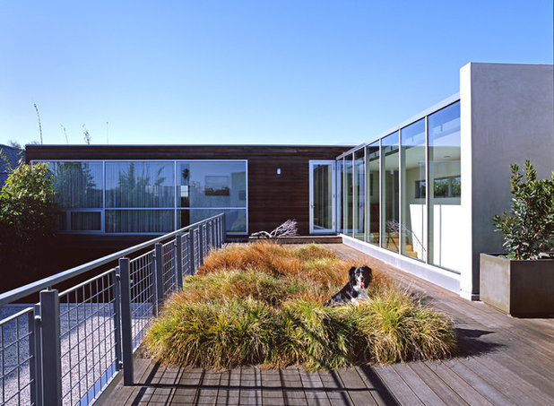 Moderne Terrasse en Bois by Paul Davis Architects