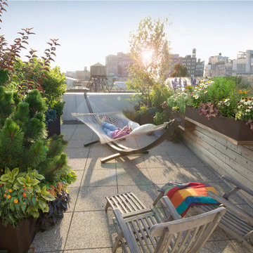 Noho roof garden