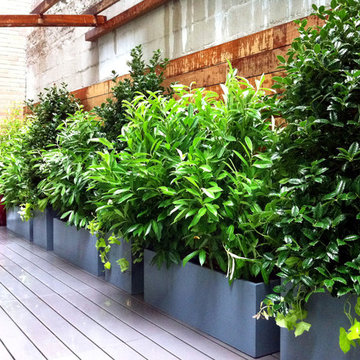 NYC Roof Garden: Asian Shoji Screen, Terrace Deck, Containers, Privacy, Lights