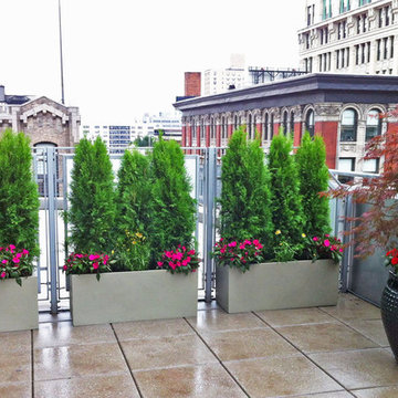 NYC Roof Garden: Deck Terrace, Pavers, Container Garden, Fiberglass, Ceramic Pot
