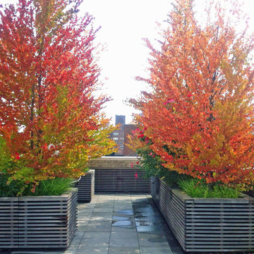 NYC Terrace Design: Roof Garden, Bluestone Paver Patio, Deck, Planter Box, Fall