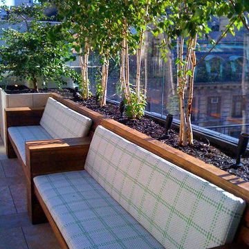 NYC Townhouse Garden: Roof, Terrace, Stone Patio, Bench, Container Plants, Birch