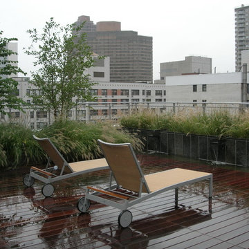 NYC Water Feature Rooftop Design