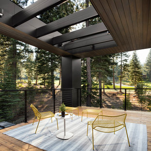 Ispirazione per una grande terrazza contemporanea dietro casa con un tetto a sbalzo
