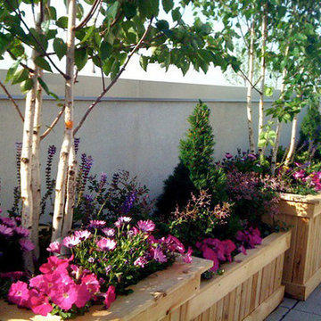 Park Slope, Brooklyn, NYC Rooftop Garden: Terrace, Planter Boxes, Containers