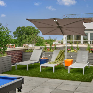 Trendy rooftop rooftop deck container garden photo in Chicago with no cover