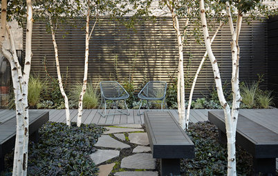 5 Ways to Use Trees to Create a Sensational Garden Space