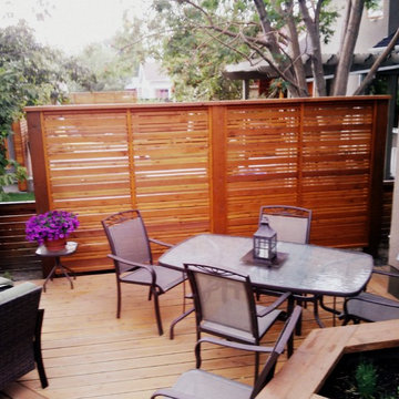 Privacy screen and deck