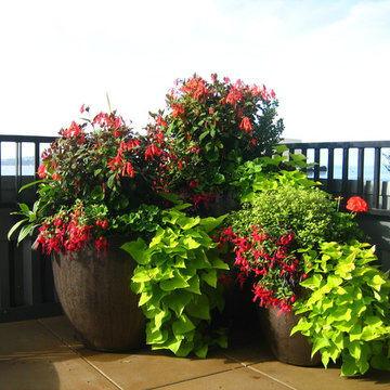 Queen Anne Upper Deck