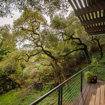 Robin Road - Hillsborough CA