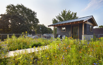 A Sauna and a Native Meadow Garden Elevate a Minnesota Rooftop