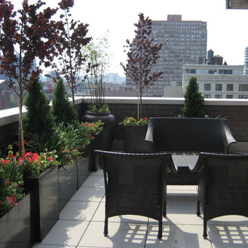 Rooftop Terrace: Roof Garden, Balcony, Container Plants, Outdoor Seating
