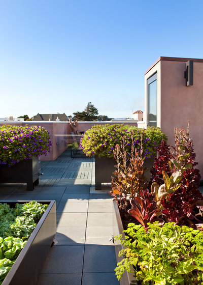 Modern Terrace by Envision Landscape Studio