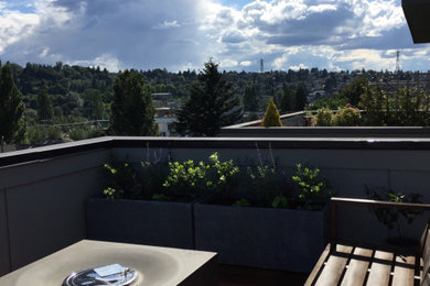 Seattle Fremont Rooftop Deck Garden