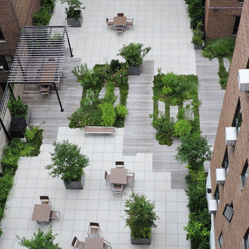 Simbiótica Living Roof, New York, NY