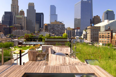 This is an example of a medium sized contemporary roof rooftop terrace in New York.