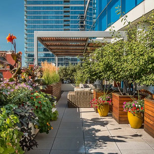 Ispirazione per una terrazza contemporanea sul tetto e sul tetto con una pergola